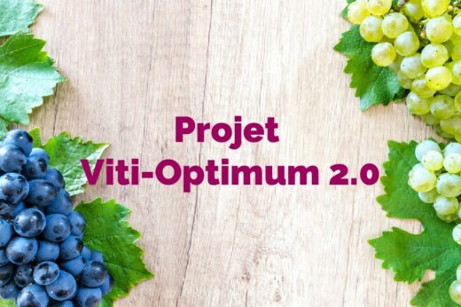vignette - Projet Viti-Optimum 2.0 : digitalisation de la relation Conseiller-Agriculteur