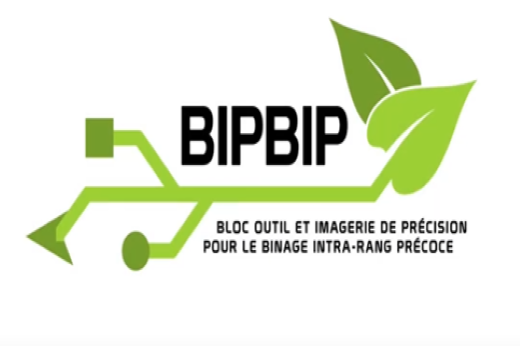 vignette - BIPBIP
