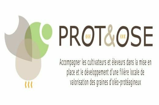 vignette - PROT&OSE – Accompagner les cultivateurs et éleveurs dans la mise en place et le développement d’une filière locale de valorisation des graines d’oléo-protéagineux.