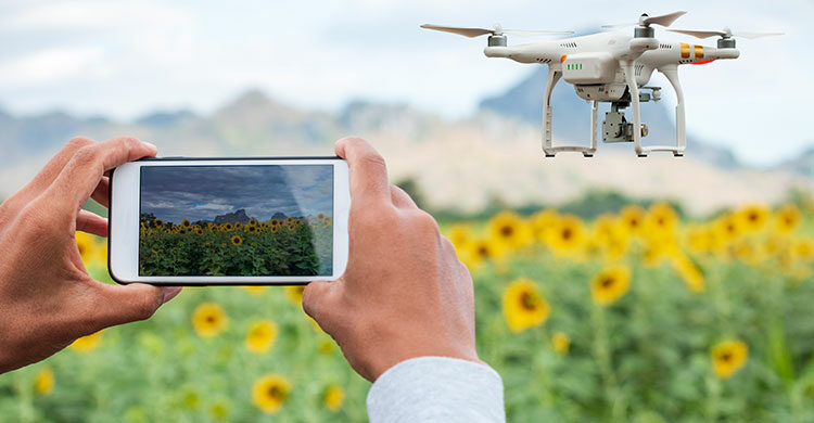 Farmer with smart phone on field with drone flying above farmland