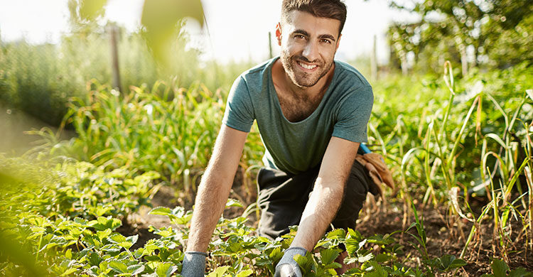 Healthy lifestyle. Countryside life. Close up outdoors portrait of young attractive bearded caucasian farmer smiling, spending morning in garden near house, picking crop