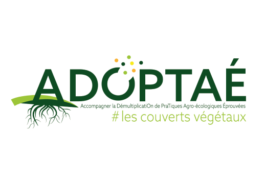 vignette - ADOPTAÉ : Accompagner la DémultiplicatiOn de PraTiques Agro-écologiques Éprouvées #les couverts végétaux
