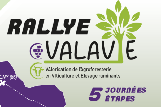 vignette - Découvrez le Rallye VALAVIE 2024 en Nouvelle-Aquitaine !