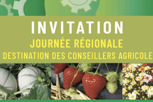 vignette - Gestion raisonnée des bioagresseurs : quels leviers d’action ?